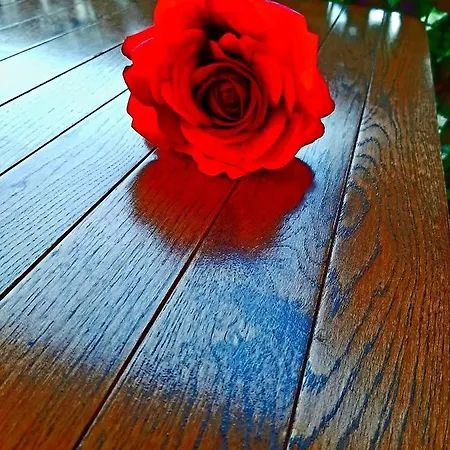 Luxury M&n In - Free Parking 스플리트