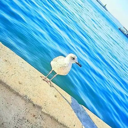 Luxury M&n In - Free Parking 아파트 *