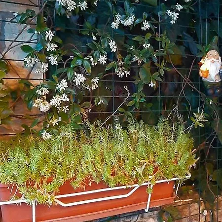 Appartement Luxury M&n In - Free Parking *