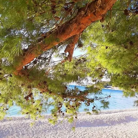 Luxury M&n In - Free Parking *