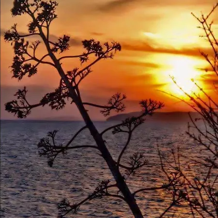 Luxury M&n In - Free Parking 스플리트